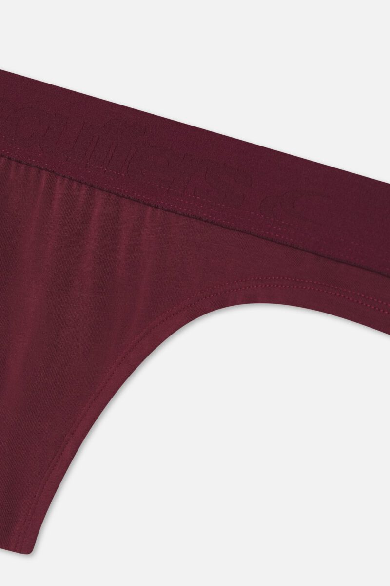 BurgundyUnderwearPanty_SEM43_3.jpg BurgundyUnderwearPanty_SEM43_3.jpg