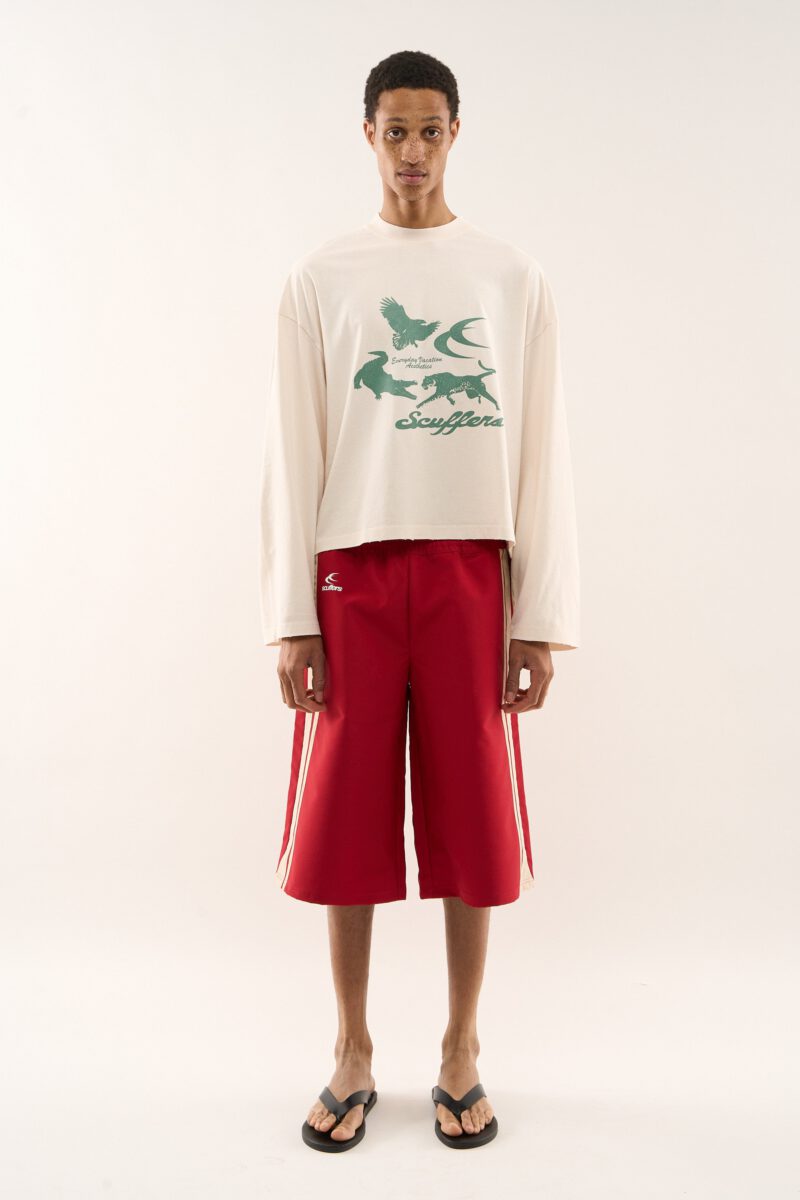 DROP805-05-20250120.jpg DROP805-05-20250120.jpg