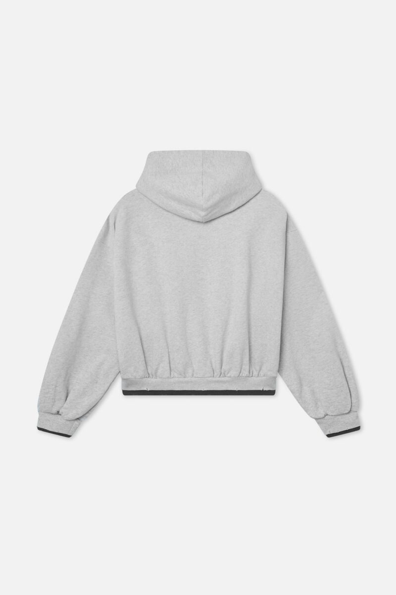 DoubleLightGreyHoodie_SEM51_2.jpg DoubleLightGreyHoodie_SEM51_2.jpg