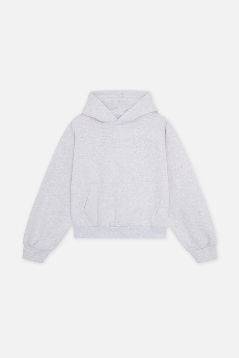 Internet Light Grey Hoodie