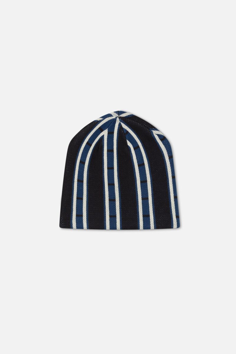 KingSnakeBlueBeanie_SEM52_2.jpg KingSnakeBlueBeanie_SEM52_2.jpg