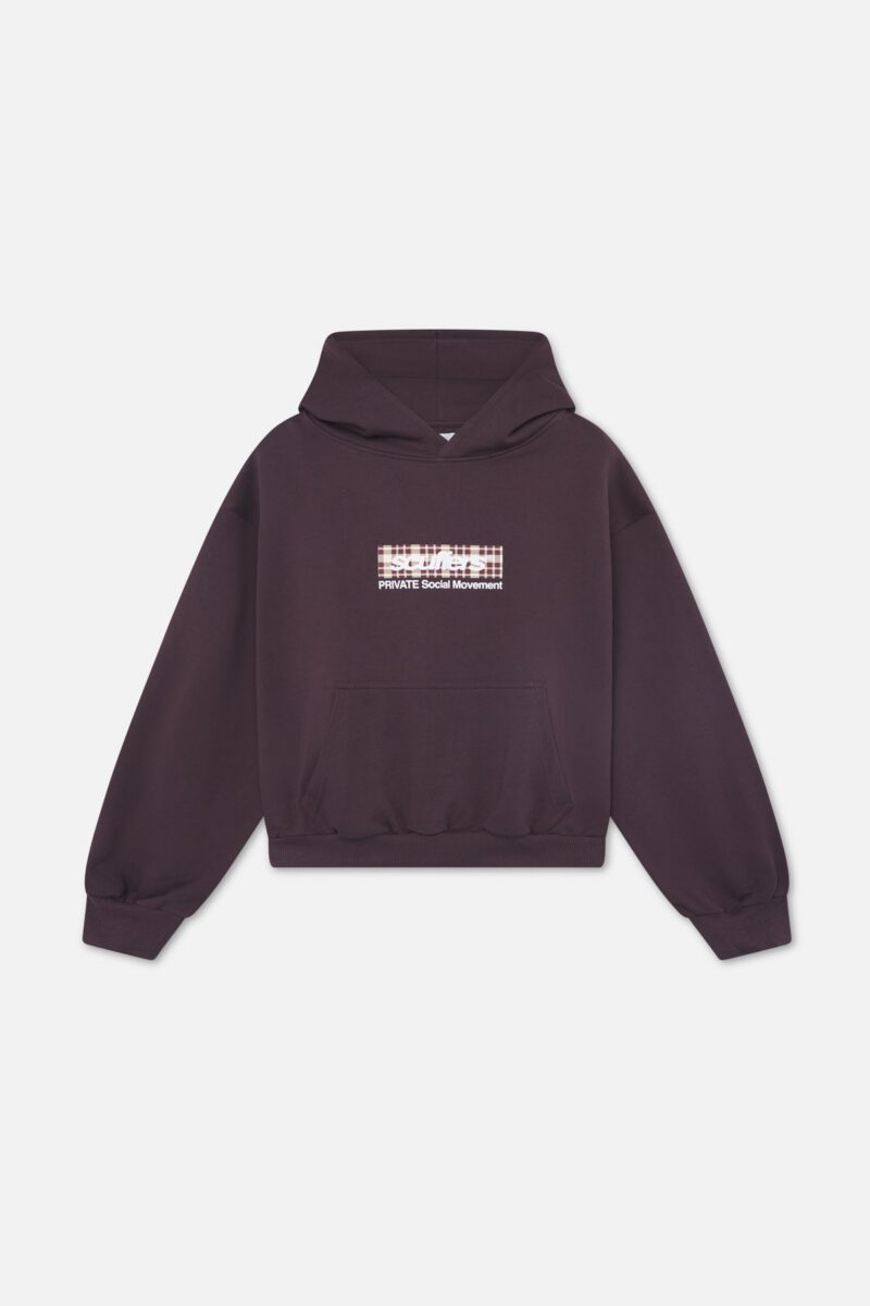 PrivateBrownHoodie_SEM53_1.jpg PrivateBrownHoodie_SEM53_1.jpg