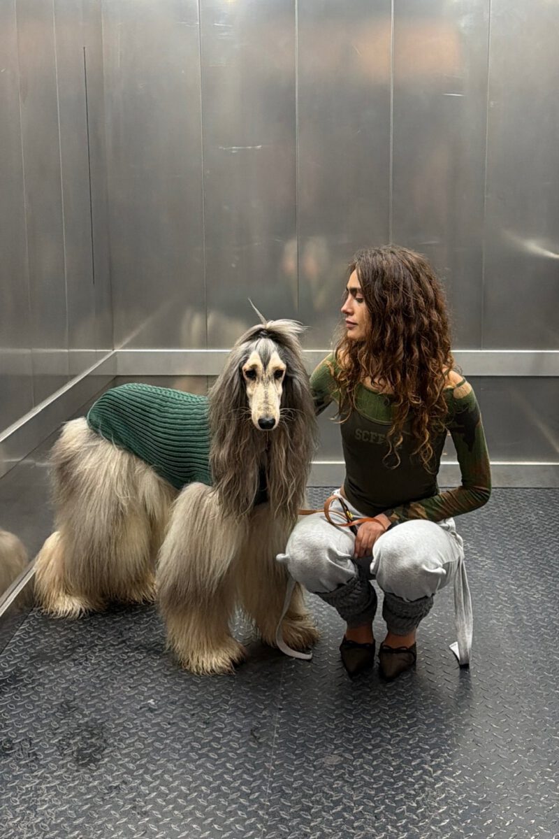 Rectangle117_b20401c2-828e-486d-9996-e1df1f9300ba.jpg Rectangle117_b20401c2-828e-486d-9996-e1df1f9300ba.jpg