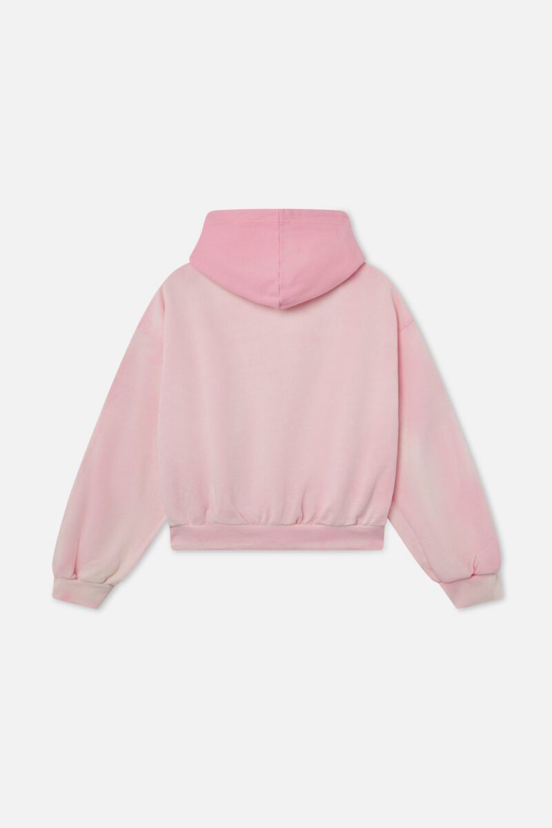 SunPinkZipper_SEM51_2.jpg SunPinkZipper_SEM51_2.jpg