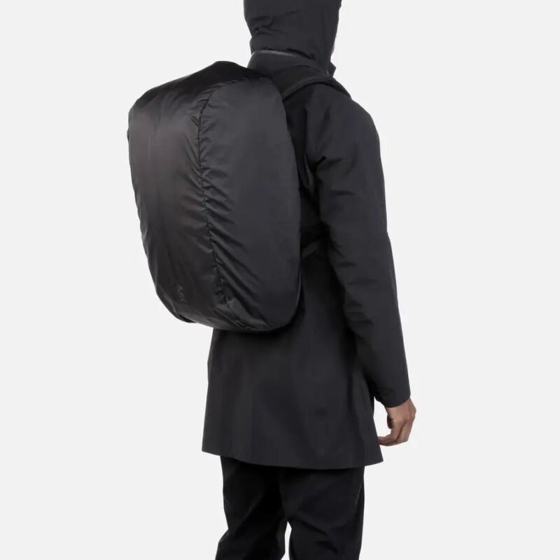 11007_rcdp2_model.jpg 11007_rcdp2_model.jpg