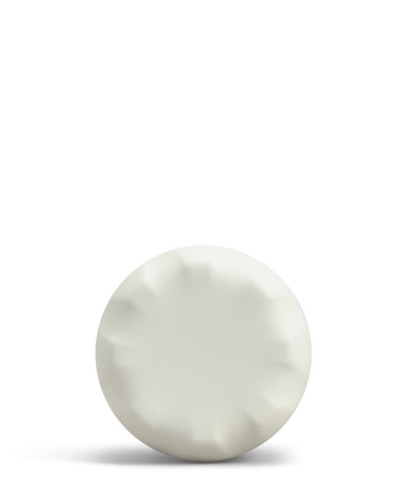 1702911353-ogss24tropicals_cheetahjungle_d.jpg 1702911353-ogss24tropicals_cheetahjungle_d.jpg