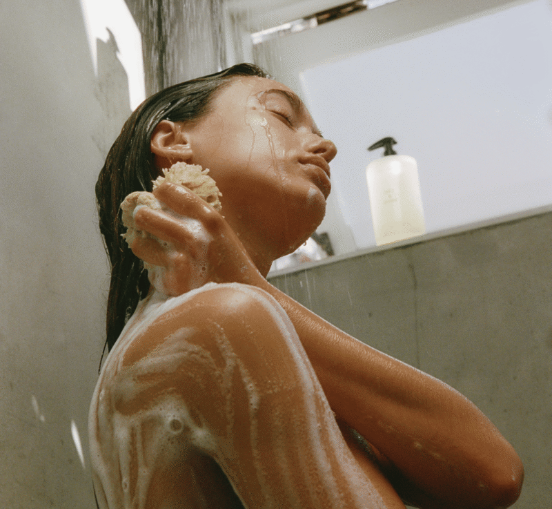 Black_Rose_Set_Black_Rose_-_7.png Black_Rose_Set_Black_Rose_-_7.png