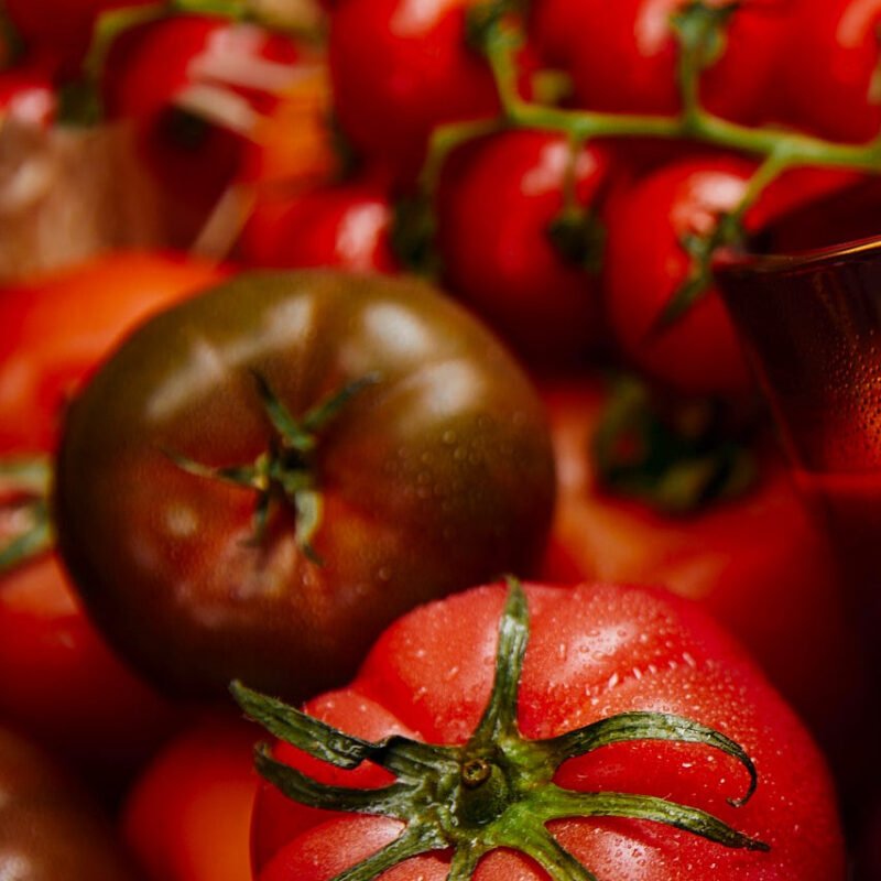 Earl-of-East-Spring-Table-Greenhouse-207_fb37ca4c-5b2e-4c52-9e03-b1db8897a5e7.jpg Earl-of-East-Spring-Table-Greenhouse-207_fb37ca4c-5b2e-4c52-9e03-b1db8897a5e7.jpg