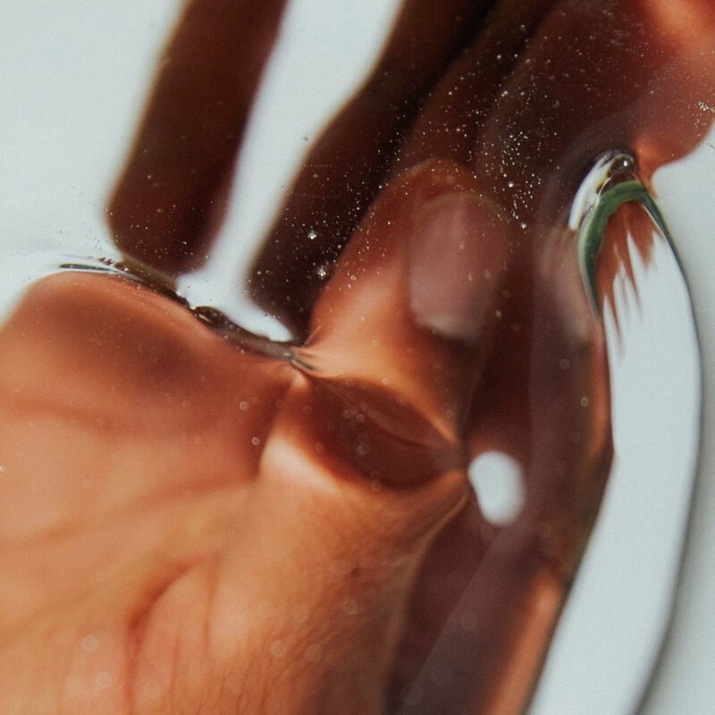 Earl-of-East-Utopia-Festive-03571.jpg Earl-of-East-Utopia-Festive-03571.jpg