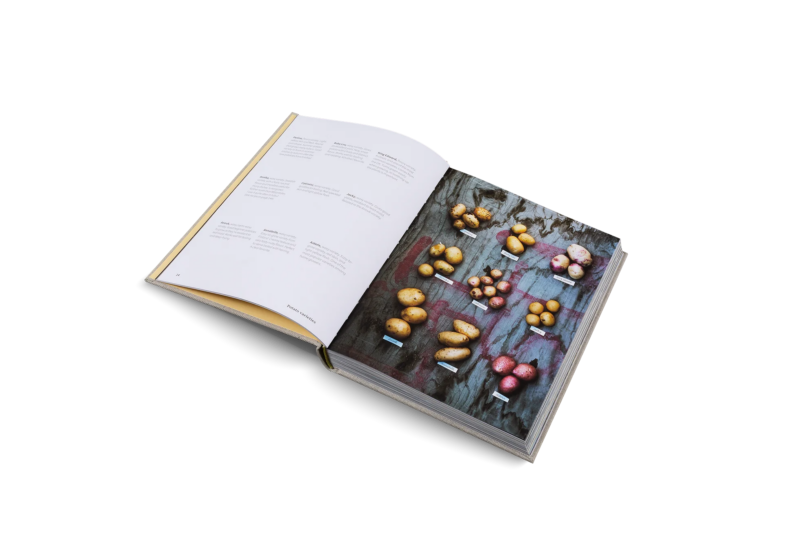 PotatoTotal_inside01_2000x_91c3b0e9-e202-49e9-84f1-c6da965e9047.png PotatoTotal_inside01_2000x_91c3b0e9-e202-49e9-84f1-c6da965e9047.png