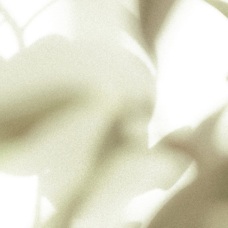 earl-of-east-viagem-natural-soy-wax-candle-260-2.jpg earl-of-east-viagem-natural-soy-wax-candle-260-2.jpg